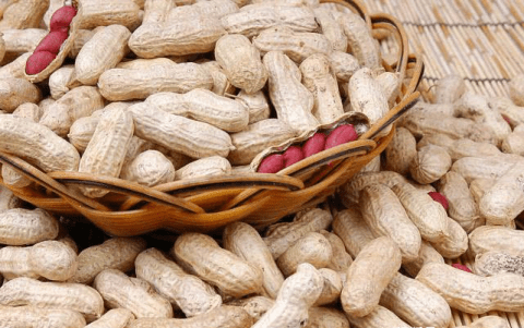 补血益气、清热解毒吃【红枣与花生】1