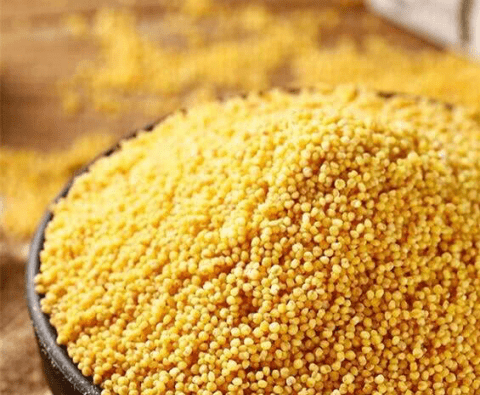 常吃小米、健胃安眠、补充蛋白质1