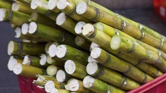 女人补血，除了阿胶红枣外，这3种食物补血效果也不错1