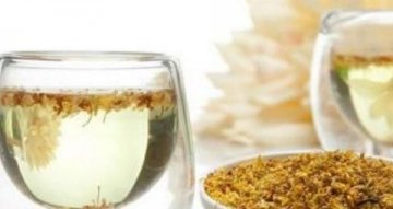 多用【桂花】泡茶喝，健胃化痰4