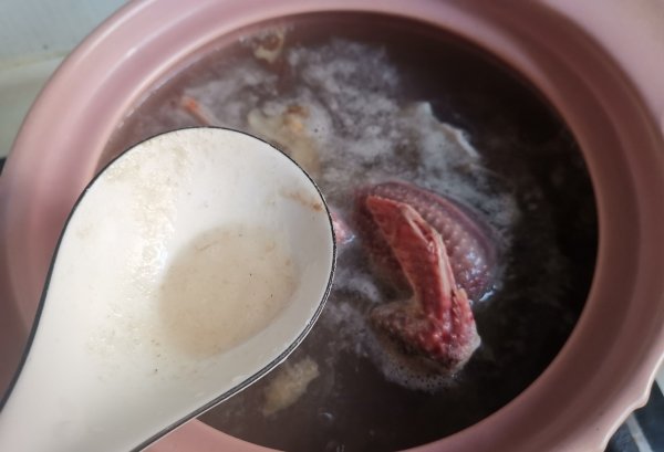 好喝营养又美味，滋补又养胃的【鸽子汤的做法】5