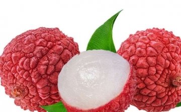 女人补气血需要多吃【龙眼肉、桑葚干、荔枝、葡萄、干枣】3