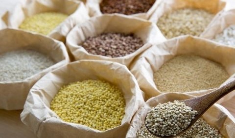 冬季养胃常吃【山药、地瓜、蜂蜜、小米】4种食物，能健脾养胃5