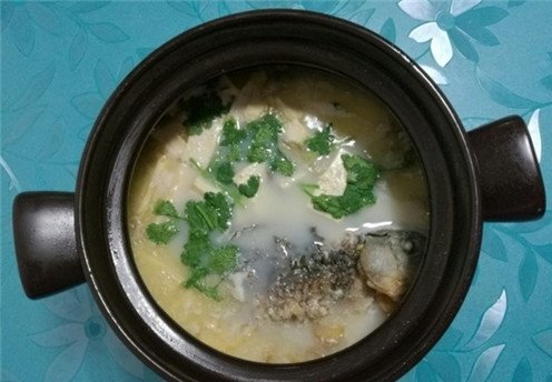 脾胃虚弱可以多喝【鲫鱼豆腐汤】健脾养胃，提神醒脑2