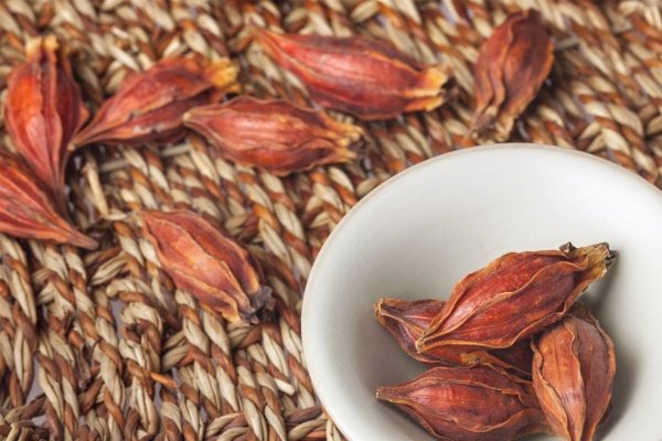 吃黄芪就上火？3味中药教你巧妙化解3