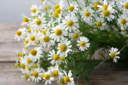 具有实用价值，有助于缓解胃胀和胃痛的食疗方法1