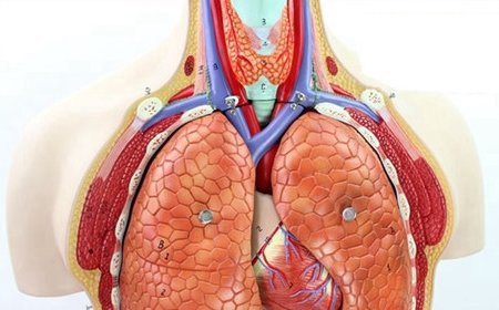 养胃的误区和法则你知道多少？1