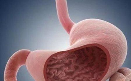 养胃的误区和法则你知道多少？3