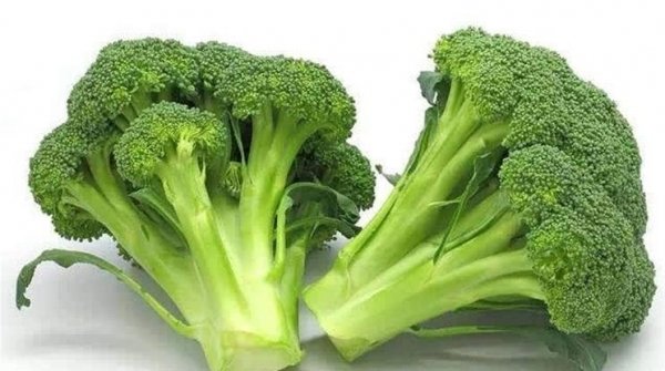吃了不后悔的食物【苹果、西兰花、大葱】，生津止咳、健胃和脾2