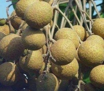 推荐超市很常见的3种食物，美容养颜、补血益气2