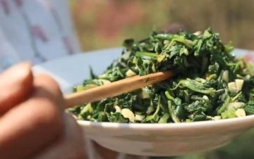 【蒲公英】价格实惠，清热解毒营养高5