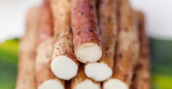 为你解读山药的好处有哪些1