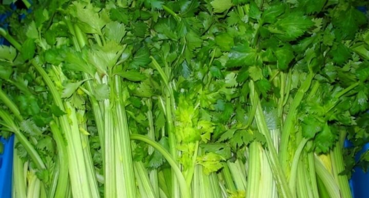 冬天女性坚持吃【蓝莓、芹菜、香椿芽】补血养颜，消除皮肤暗斑2