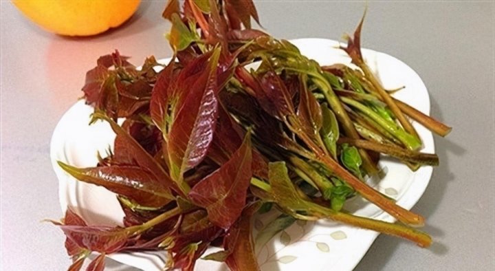 冬天女性坚持吃【蓝莓、芹菜、香椿芽】补血养颜，消除皮肤暗斑3