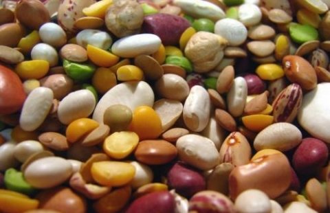 白扁豆健脾胃、增进食欲，食疗功效真不少1