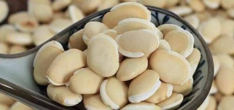 白扁豆健脾胃、增进食欲，食疗功效真不少4