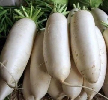 白萝卜和豆腐一起炖，补钙质，长个头，暖胃健脾1