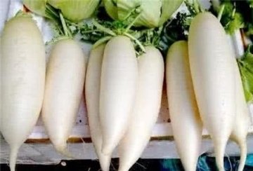 白萝卜和豆腐一起炖，补钙质，长个头，暖胃健脾3