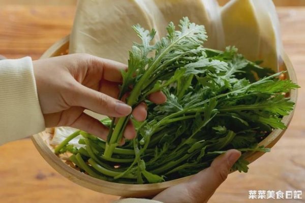 早饭做【茼蒿菜饼】、平底锅一煎好吃养胃2