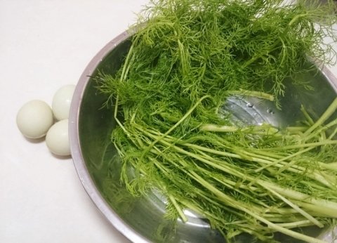 湿气重别担心，多吃这道菜【茴香菜】1