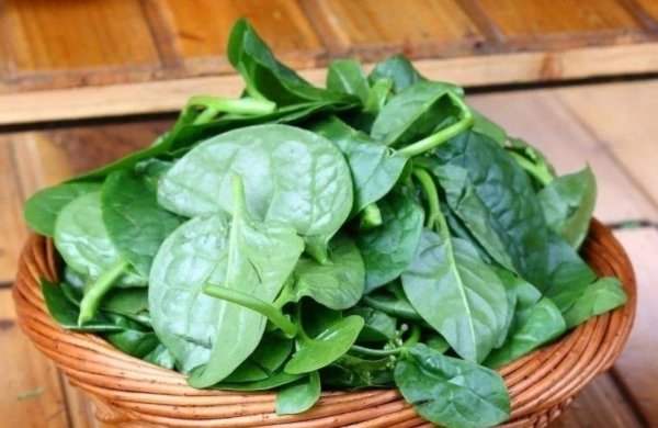 多吃【清炒木耳菜】，美白祛斑