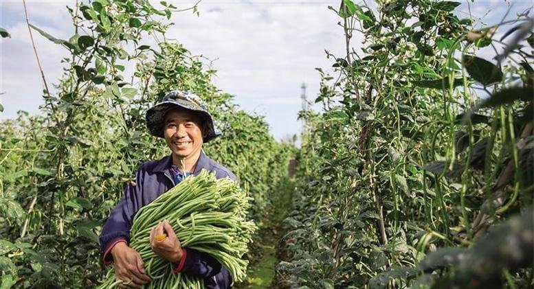 健康长寿，不妨多吃3种食物，排毒健脾补肾1