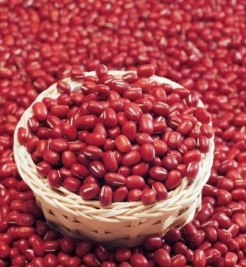 常吃红豆，清热解毒、健脾益肾、利尿消肿2
