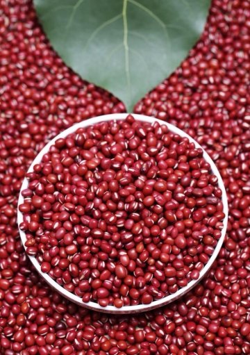 常吃红豆，清热解毒、健脾益肾、利尿消肿3