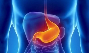 喝白粥能不能养胃？误人误己对健康没好处1