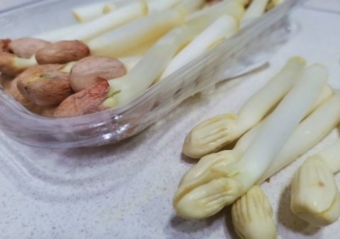 贫血可以多吃补铁补血的【花生芽】，小脸越来越红润2