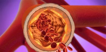 花生和【蜂蜜】一起吃，补气血、增强免疫力！1