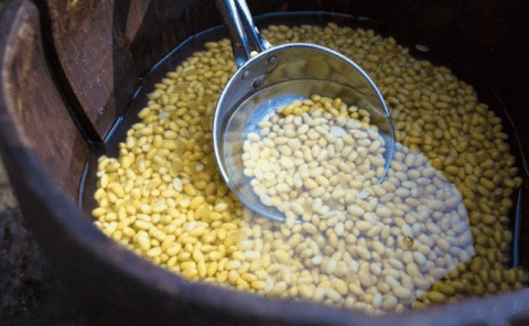 驱寒补气血可以喝【四红豆浆】12