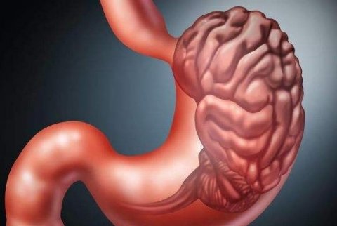 经常吃这道菜【玉米粉拌茴香】，养胃护胃1