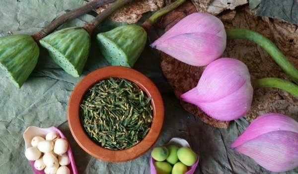 莲藕全身都是宝？藕的不同部位有不同的食疗效果，却被很多人忽略2