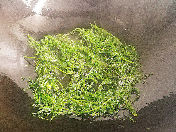 胃不好不要愁，吃【茴香炒鸡蛋】，健胃理气还驱寒，肠胃越来越好5