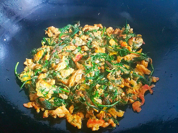 胃不好不要愁，吃【茴香炒鸡蛋】，健胃理气还驱寒，肠胃越来越好7