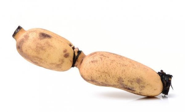 常吃莲藕，清脆爽口，还能养胃促消化2