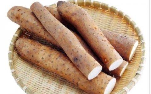 山药营养高但却不知道怎么吃？搭配上它们益气补肾更养胃1