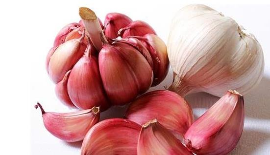 【大蒜】祛寒健胃杀虫除湿，增强免疫功能2