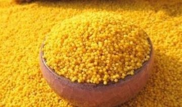 平时常吃3种食物，补血益气，滋阴润燥1