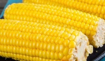 平时常吃3种食物，补血益气，滋阴润燥2