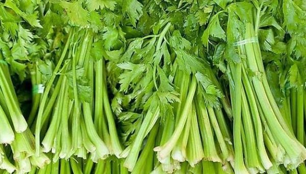 女人贫血吃什么补血效果最好？3