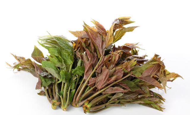 一道养生菜，健胃理气，补充维生素c，脸上皱纹越来越少2