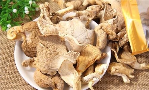 鲍鱼菇的食疗功效-鲍鱼菇图片2