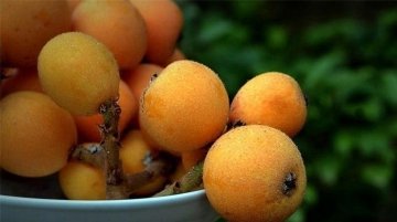 吃推荐的食物，补中益气、养血安神、健脾又养胃2