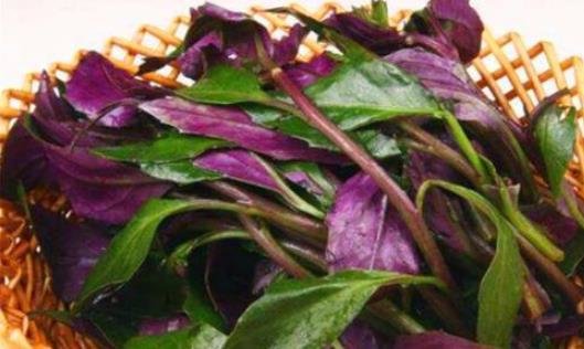 女人来月经时，常吃的食物，排出毒素，补血润肤，缓解经期腹痛4