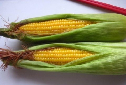 此物是天然维生素A，每周给孩子吃一次，保护眼睛，健胃开胃1