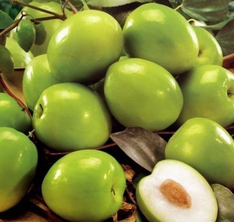 4种食物每天吃点，健脾养胃，排毒抗衰，滋补身体1