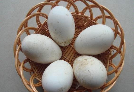 冬季养生好时机,以下食物多吃点,营养不低,补血祛斑1