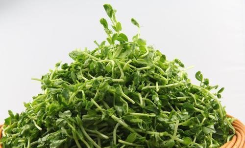 冬季养生好时机,以下食物多吃点,营养不低,补血祛斑3